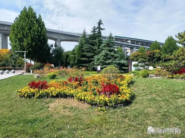 三门峡：13.7万盆鲜花装扮城市迎“双节”
