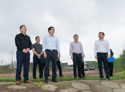 石首：聚焦全域绿化 共建美丽长江