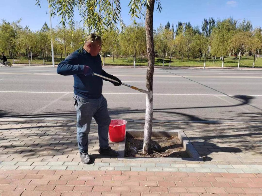 鄂托克前旗：秋季“梳妆”好时节 绿化提升不停歇