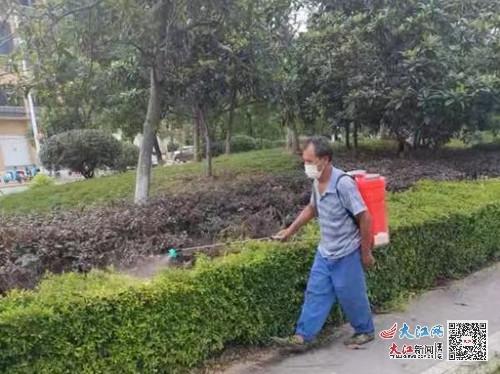 乐安县城管局多措并举做好夏季绿化养护管理工作（图）