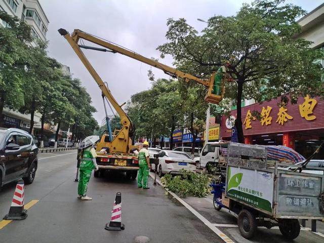 东莞：莞城园林精细化管理促城市品质再提升