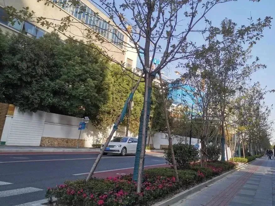 分享丨即将完工！一起坐上长宁这趟“公园列车”吧