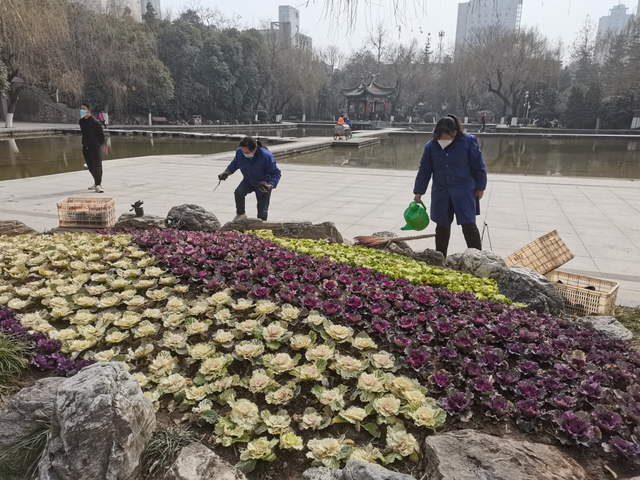 宝鸡炎帝园：坚持“三精”理念 打造全民乐园