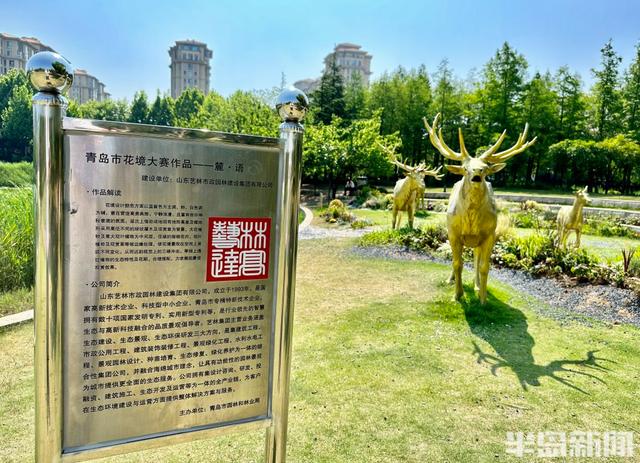家门口的美景！侯家庄口袋公园上新