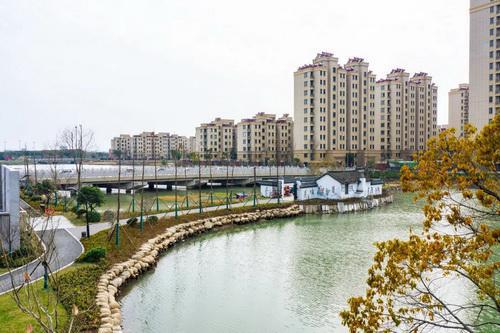 平湖市街头多处绿化容貌升级