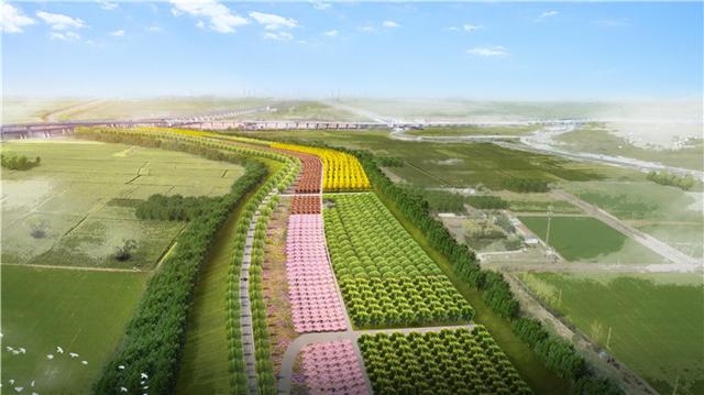 济南生态绿化项目｜美丽绿道建设、特色道路绿化、行道树品质提升篇