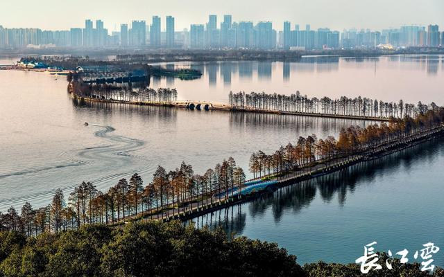《武汉市2023年绿化工作方案》出炉！武汉将新改建各类公园100座