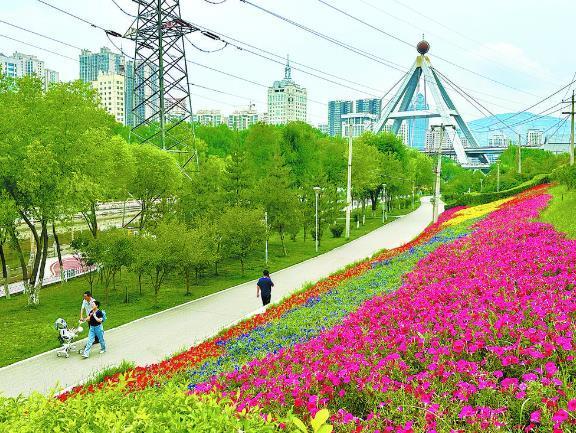 满城飘花香 放眼皆风景——城市绿化记者见闻①