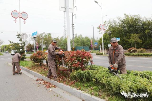「民生」春季“梳妆”好时节 绿化工人养护忙