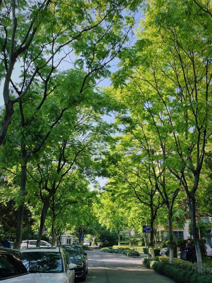 “绿茵行动”推动社区景观改造