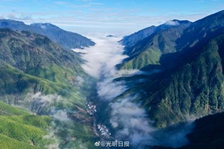全球新增绿化面积四分之一来自中国
