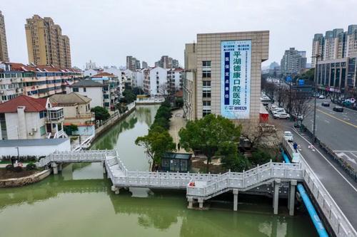 平湖市街头多处绿化容貌升级