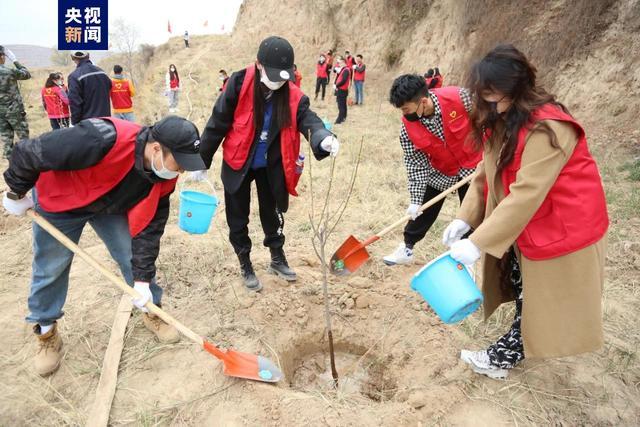 甘肃今年计划完成国土绿化面积超1500万亩