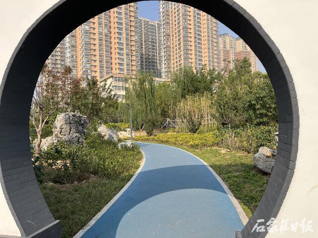 感受绿色脉搏体验健康生活 石家庄市裕东公园建成开放
