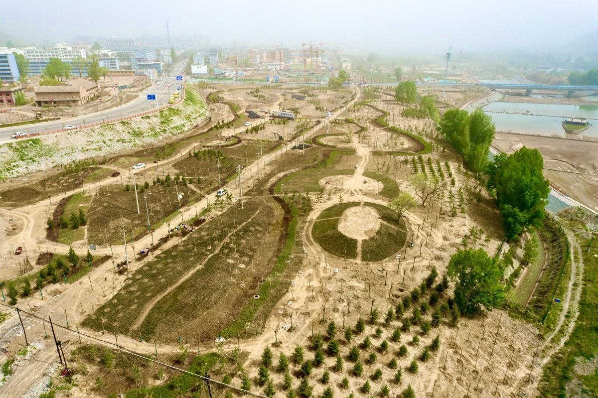武威古浪：厚植生态底色 绿染苍松大地
