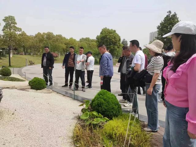 人民公园开展绿化养护学习观摩活动
