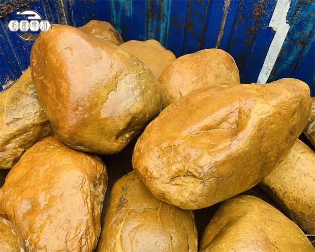 黄蜡石在园林景观中起到重要角色作用