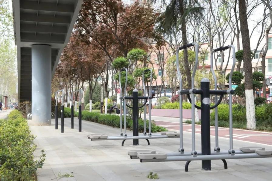 莲湖区：因时因地植绿护绿 为群众生活增色添彩