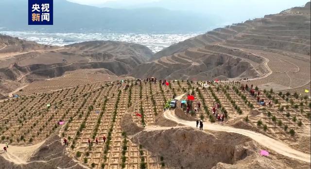 甘肃今年计划完成国土绿化面积超1500万亩
