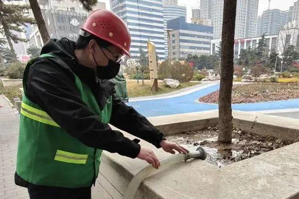 紧抓“黄金时机” 打造“高颜值”绿化景观