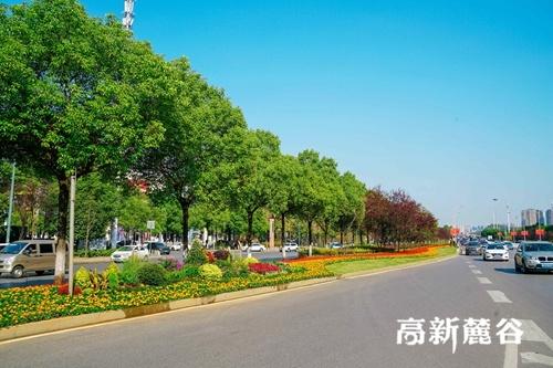 扩绿提颜值 扮靓“大河西”