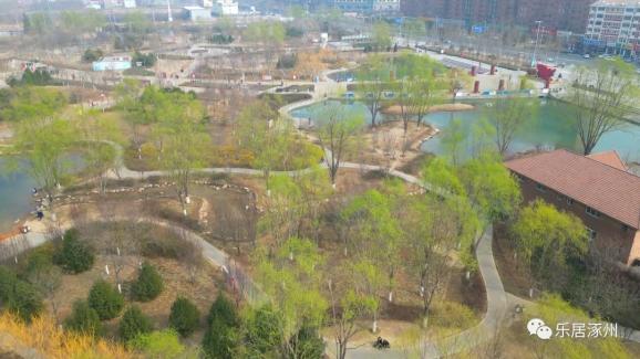 涿州：扮靓城市“颜值”，绿化养护好春光