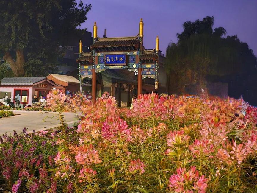 西城区做好城市绿化景观维护和布置，为“一带一路”盛会增彩