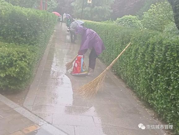 园林绿化整治不停步 城市景观形象再提升