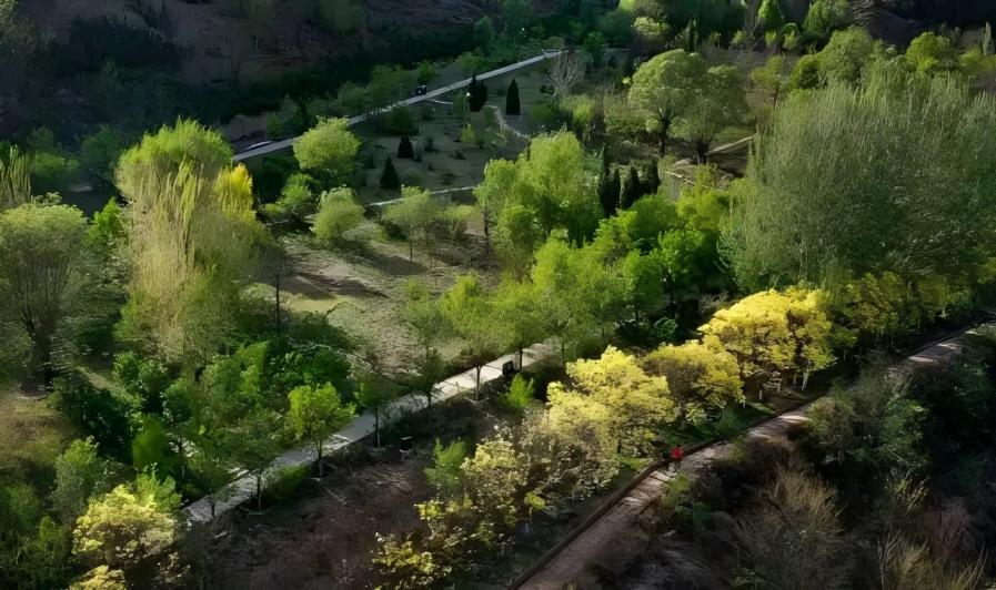 国务院已明确:“退林还耕”不搞一刀切!农田上种树的要稳妥处置 国务院已明确:“退林还耕”不搞一刀切!农田上种树的要稳妥处置