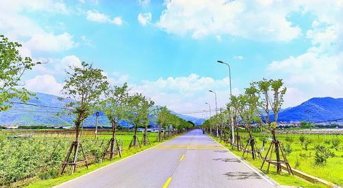 X413线新圩北路绿化提升改造工程全部完成，总长约5.5公里