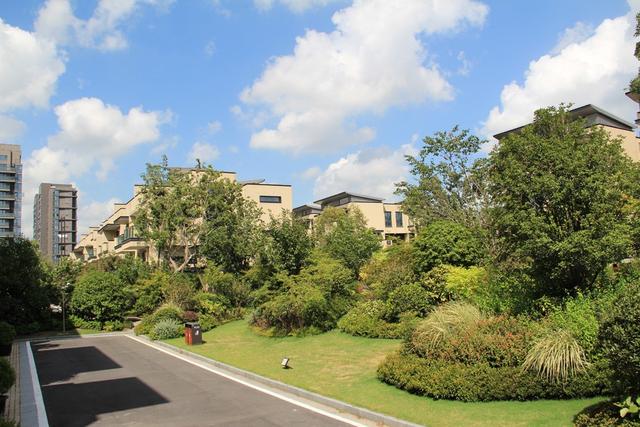 市政绿化工程工作一般包括哪些流程？这些你必须了解