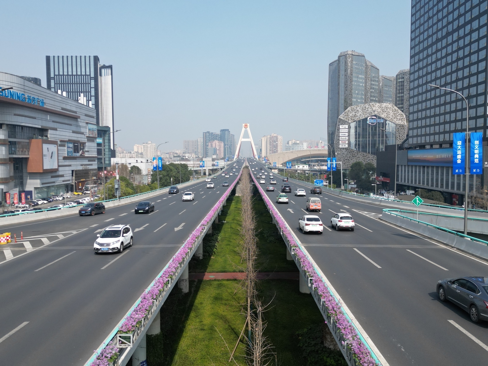 城市绿化带变身“试验田”
