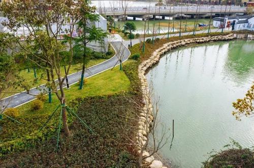 平湖市街头多处绿化容貌升级