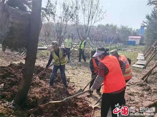 青岛市交通运输局公路材料供应处加快推进重点工程绿化迁移项目