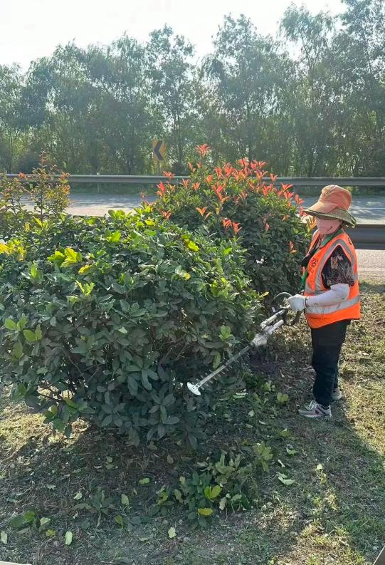 铜山公路站：修剪中分带绿化 营造良好通行环境