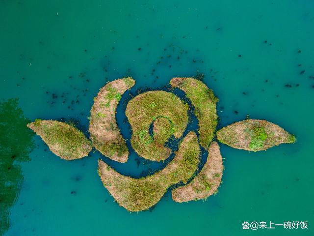 杭州西溪湿地旅游攻略