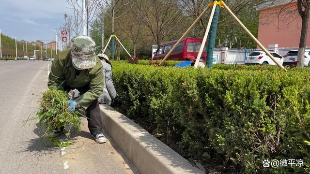 崆峒区园林局：提升改造绿化带 打造城市美好形象