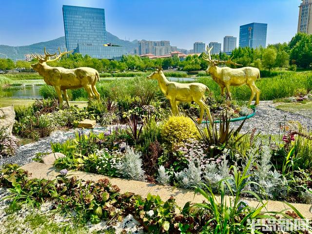 家门口的美景！侯家庄口袋公园上新