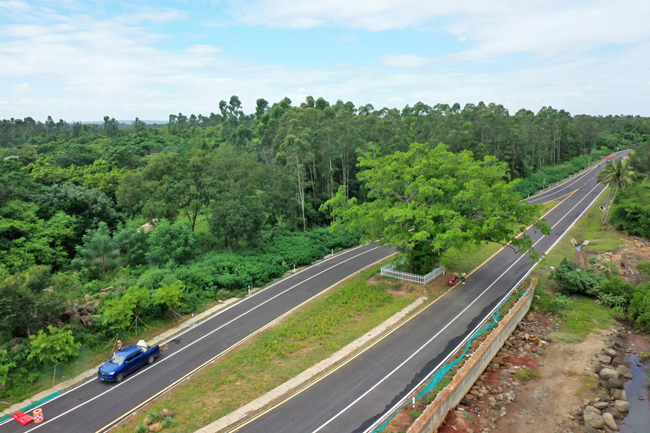 环岛旅游公路儋州段为古榕树让道  榕树附近路面已铺设完毕，周边建了保护栅栏和带状绿化景观带（配图）