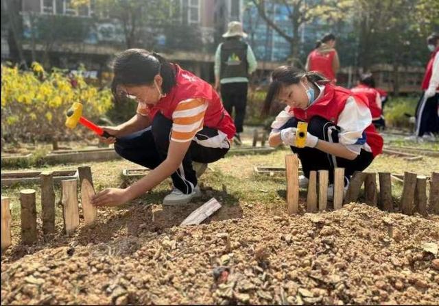 凤凰街道携手辖区居民打造家门口的“共建花园”