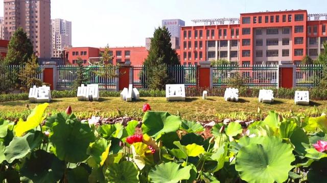 满眼绿意满城园——我市全力提升园林绿化品质夯实城市生态基底 满眼绿意满城园——我市全力提升园林绿化品质夯实城市生态基底