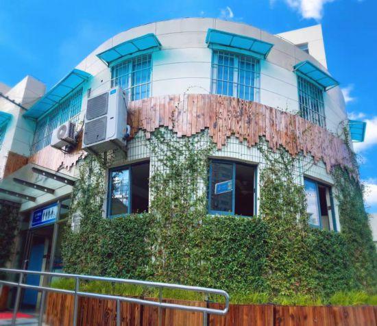 上海公园城市建设中的立体绿化，你知道哪些？