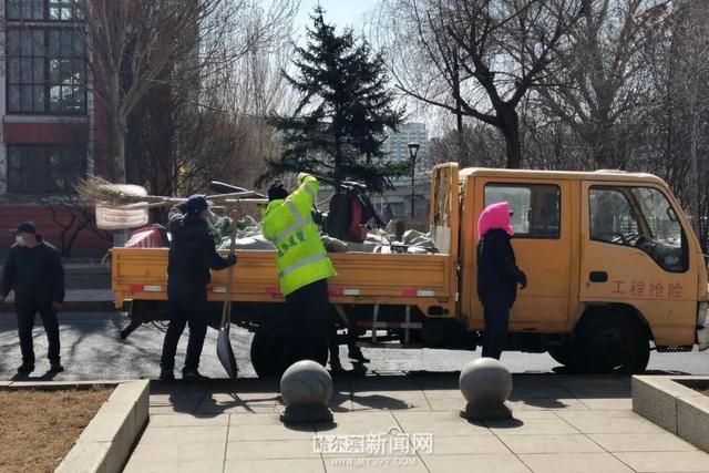 哈市园林春整深入推进，已修剪树木19万株，清理绿地356万平方米