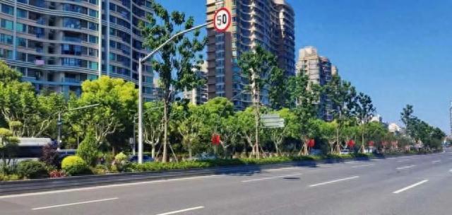 静安这条道路绿化相关研究获上海市一等奖