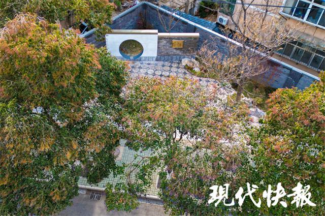尽显方寸之美！“口袋公园”装满徐州百姓幸福感