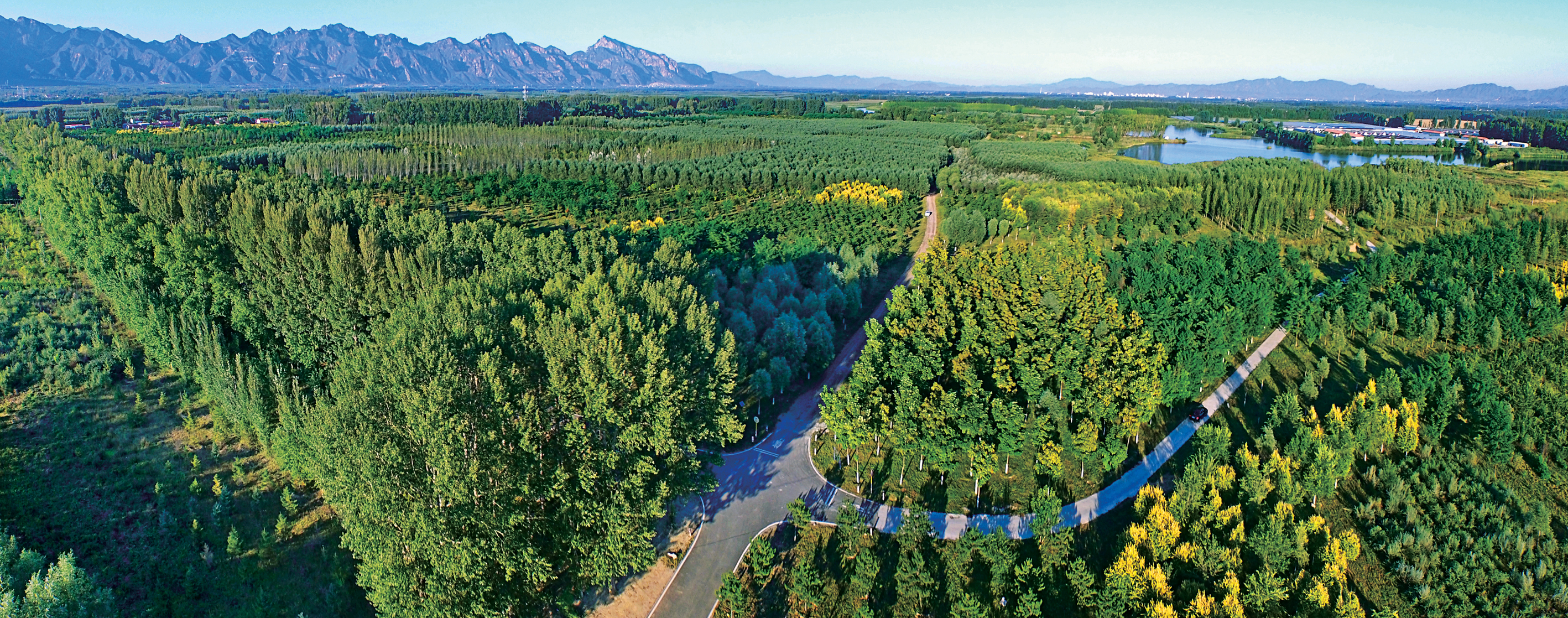 科学绿化 绘就美丽北京绿色画卷