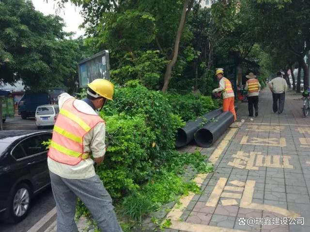 园林景观绿化养护公司提高绿化养护管理效率方案