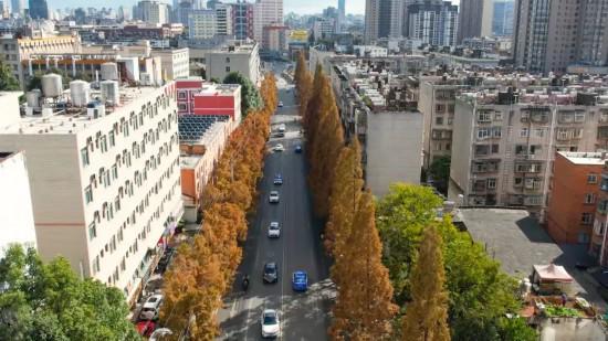 ＂管护＂让植物越冬有保障 城市＂颜值＂增色彩