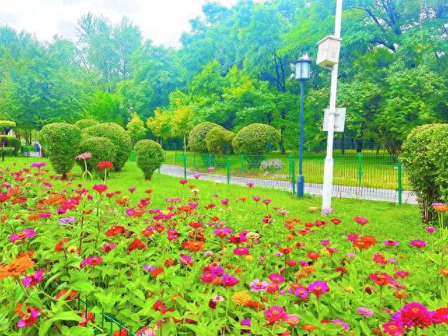 花园城区尽显生态之美——城市绿化记者见闻⑦