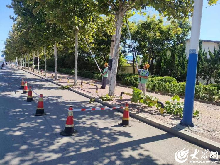 提升城市“颜值” 德州园林开展秋季绿化修剪